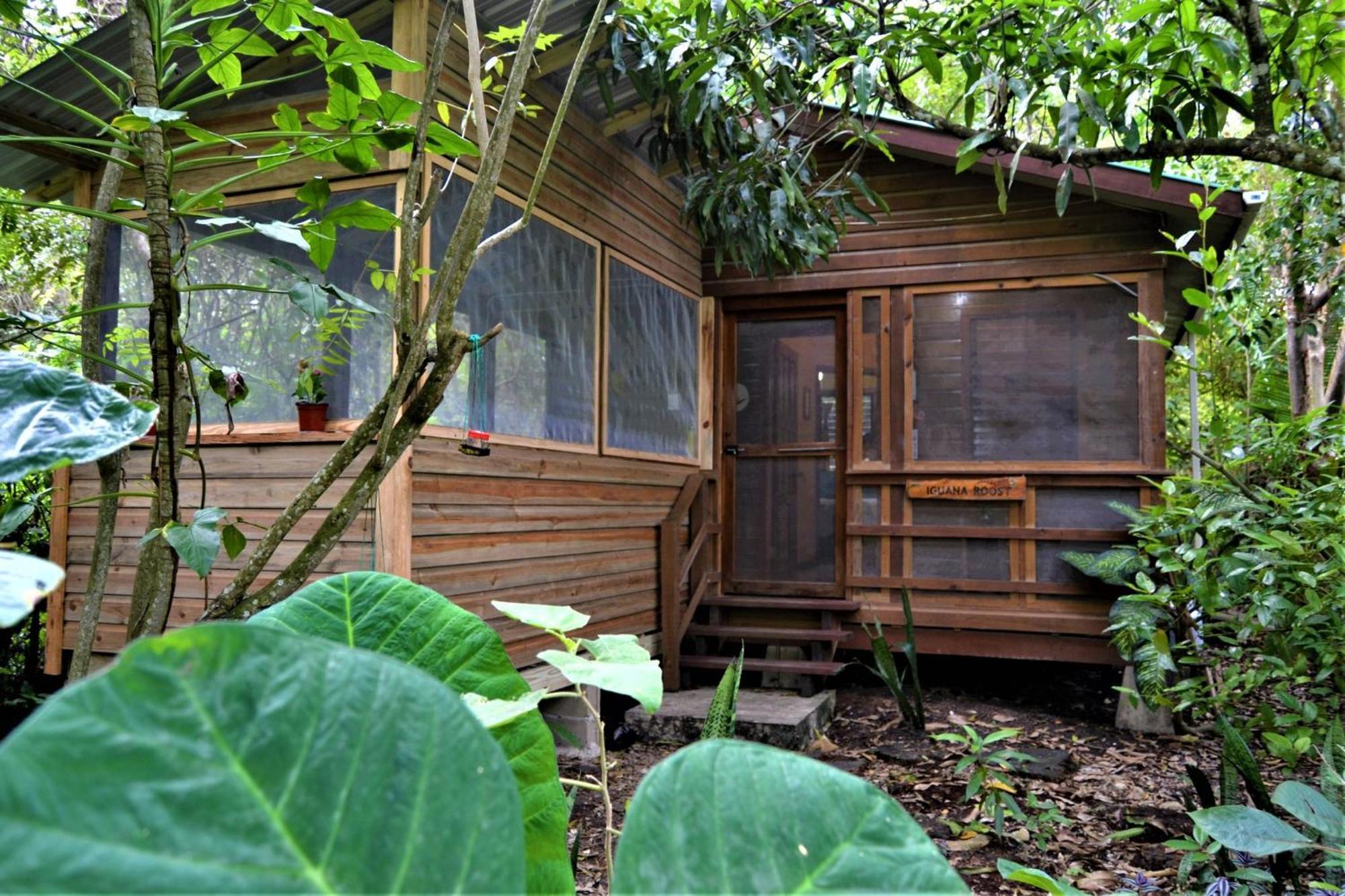 Iguana Roost Tourism Gold Standard Fully Equipped Two Bedroom Cabin سان إجناسيو المظهر الخارجي الصورة
